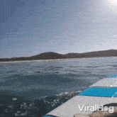 Whale Interrupts Surfing Viralhog GIF - Whale Interrupts Surfing Viralhog A Whale Disrupts The Surf GIFs