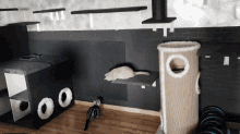a cat is laying on a shelf next to a cat scratching post