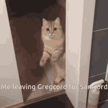 Samcord Cats GIF - Samcord Cats Discord GIFs
