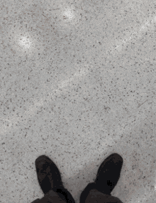 Sk Sk Shoes GIF - Sk Sk Shoes Zoomali GIFs