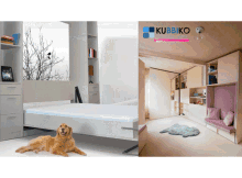 Pull Down Bed Fold Away Beds Uk GIF - Pull Down Bed Fold Away Beds Uk Dog GIFs