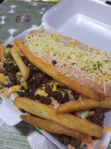 a styrofoam container holds a hot dog with french fries