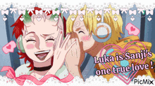 luka is sanji 's one true love written on a picture