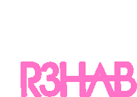 R3hab Dj Sticker