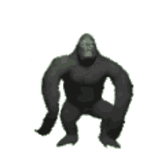gorilla gamgam
