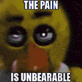 a picture of chica from five nights at freddy 's with a caption that says the pain is unbearable