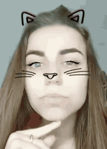 Cat What GIF - Cat What Really GIFs