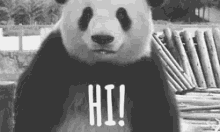 Panda Hi GIF - Panda Hi GIFs