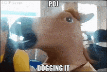 a picture of a dog with the words pdj dogging it written on it