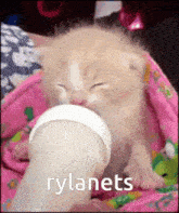 Rylanets Showtime Smp GIF