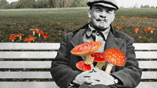 a man sitting on a bench with mushrooms in his hands