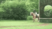 Horse Crash GIF - Horse Crash Jump GIFs