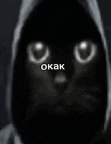 a black cat wearing a hooded jacket with the word okak on the bottom