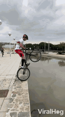 Bike Tricks Bike Skills GIF