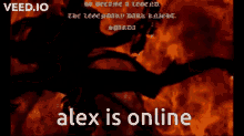 alex is online