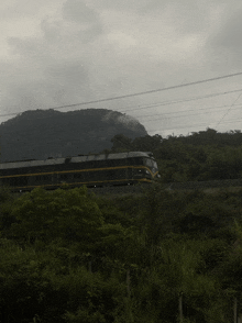 a train with a yellow stripe on the side is going down the tracks