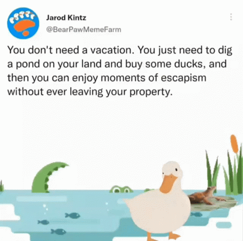 Vacation Ducks GIF - Vacation Ducks Duck GIFs