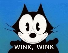 a cartoon cat with the words wink wink on it