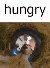 Funny Meme GIF - Funny Meme Hungry GIFs