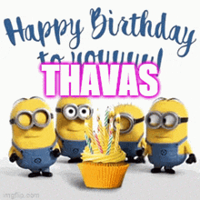 Thavas Birthday GIF