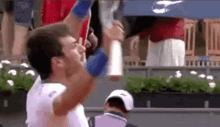 Pedro Martinez Tennis GIF - Pedro Martinez Tennis Thrill Of Victory GIFs
