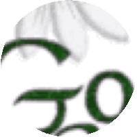 a close up of a green and white circle with the letter o in it .