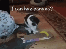 Banana Funny GIF