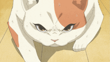 a white and orange cat is looking at the camera with a very angry look on its face