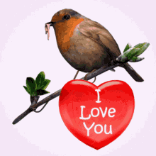 I Love You Love GIF - I Love You Love Robin GIFs