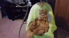 Kitty'S Nap GIF - Kitty Cat Swing GIFs