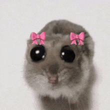 Sad Hamster Meme GIF - Sad Hamster Meme Sad Hamster Hamster Meme GIFs