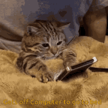 Phone Cat GIF - Phone Cat Wow GIFs