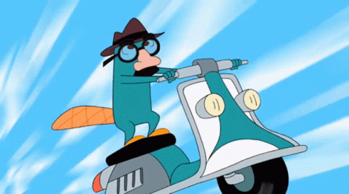 Phineas And Ferb Perry The Platypus GIF - Phineas And Ferb Perry The Platypus  Agent P - Discover & Share GIFs