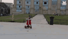 Dog Riding Scooter On My Way GIF