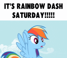 a poster with a rainbow dash and the words it 's rainbow dash saturday