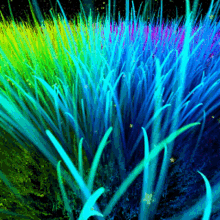 Grass Color GIF - Grass Color GIFs