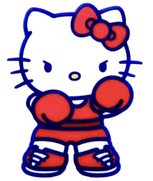 kitty boxer