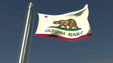 California Flag GIF - California Flag GIFs