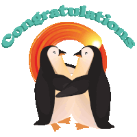 Congratulations Senoko Sticker - Congratulations Senoko Penguin Stickers