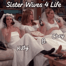 Sisters Wives GIF - Sisters Wives Life GIFs