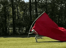 a person is running with a large red flag on a pole .
