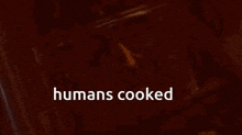 a brown background with the words " humans cooked "