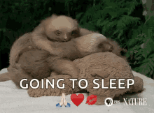 Good Night Cute Animals GIF - Good Night Cute Animals Sloth GIFs