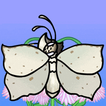 Butterflies Butterfly GIF - Butterflies Butterfly Insect GIFs