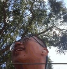 a man wearing glasses is smiling in front of a tree with the sun shining through the leaves .