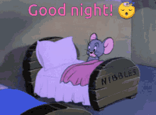 nibbles good night nikki