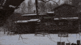 a snowy yard with a picnic table and a tree in the foreground
