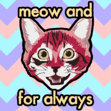 Meow And For Always Love GIF