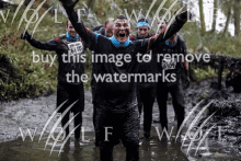 Wolf Remove Watermarks GIF - Wolf Remove Watermarks GIFs