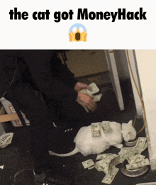 Moneyhack Moneyhack Rust GIF - Moneyhack Moneyhack Rust Money Hack GIFs